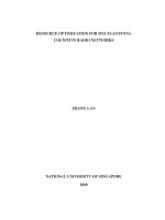 Resource optimization for multi antenna cognitive radio networks 