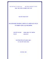 SO SÁNH một số DÒNG, GIỐNG lúa mới NGẮN NGÀY có TRIỂN VỌNG tại THÁI BÌNH