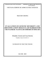EVALUATION ON GENETIC DIVERSITY AND IDENTIFICATION MOLECULAR MARKER FOR VIETNAMESE NATIVE DENDROBIUM SPECIES