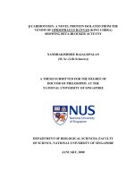 A novel protein isolated from the venom of ophiophagus hannah (king cobra) showing beta blocker activity