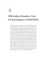 Dynamics of epitaxial graphene growth and adsorptions of cobalt 4 