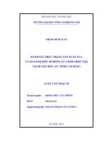 Đánh giá thực trạng sản xuất lúa và so sánh một số dòng lúa mới chọn tạo tại huyện hòa an, tỉnh cao bằng
