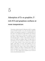 Dynamics of epitaxial graphene growth and adsorptions of cobalt 5 
