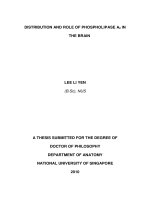 Distribution and role of calcium independent phospholipase a2 in the brain 