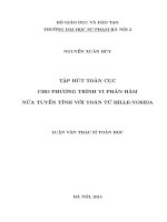 Tập hút toàn cục cho phương trình vi phân hàm nửa tuyến tính với toán tử hille yosida