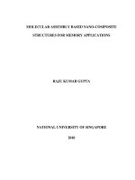Molecular assembly based nano composite structures for memory applications 