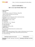 Giáo án sinh học 6 bài cấu tạo tế bào thực vật