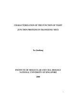 Characterization of the function of tight junction proteins in transgenic mice 