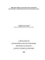 The multiple faces of civil society  development and democratization in rajasthan, india 