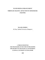 Fluid mixing enhancement through chaotic advection in mini micro channel 1 