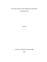 Function studies on ring proteins in white spot syndrome virus 