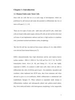 n vitro bioassembled human extracellular matrix and its application in human embryonic stem cell cultivation 1 