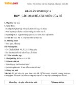 Giáo án sinh học 6 bài các loại rễ các miền của rễ