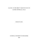 Claudin 1 is the direct target of RUNX3 in gastric epithelial cells 