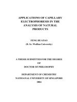 Applications of capillary electrophoresis in the analysis of natural products