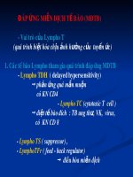 Bài giảng miễn dịch tế bào 