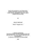 Selective removal of estrogenic compounds from aqueous solution using novel adsorbent molecularly imprinted polymer 