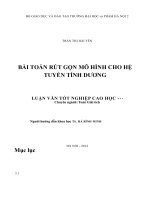 Luận văn bài toán rút gọn mô hình cho hệ tuyến tính dương