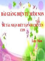 Bài giảng điện tử mầm non lớp Mầm đề tài Nhận biết tập nói chú cún con