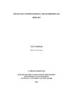 Essay on international transmission of shocks 