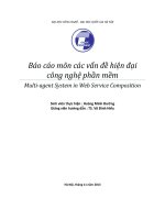 Báo cáo: Multiagent System in Web Service Composition