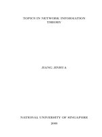 Pharmacology of gemcitabine in the asian population 1 