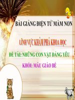 Bài giảng điện tử mầm non lớp Mầm đề tài Những con vật đáng yêu
