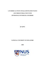 A numerical study of h2 o2 detonation waves and their interaction with diverging converging chambers 