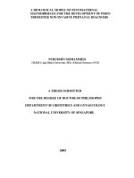 biological model of fetomaternal haemorrhage for the development of first trimester non invasive prenatal diagnosis 