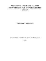 Abstract and real matrix structures for hyperbolicity cones 