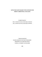 Advanced flow based type systems for object oriented languages 