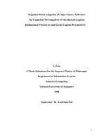 Organizational adoption of open source software an empirical investigation of the human capital, institutional pressures and social capital perspectives 