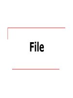 xử lý file trong lập trình