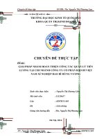 Giải pháp nhằm hoàn thiện công tác quản lý tiền lương tại Chi nhánh công ty cổ phần bao bì Việt Nam – Xí nghiệp bao bì Hùng Vương