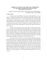 Nghiên cứu tương tác giữa kiểu gen và môi trường của bộ giống lúa triển vọng trên đất phèn Đồng Tháp Mười năm 2014