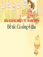 Bài giảng điện tử mầm non lớp Chồi đề tài Cá sống ở đâu