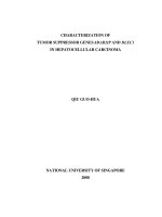 haracterization of tumor suppressor genes hDAB2IP and DLEC1 in hepatocellular carcinoma 
