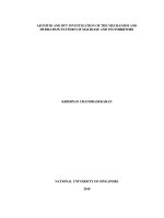 Ab initio and DFT investigation of the mechanism and hydration pattern of sialidase and its inhibitor 