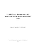 A numerical study of a permeable capsule under stokes flows by the immersed interface method 