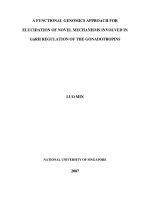 A functional genomics approach for elucidation of novel mechanisms involved in GnRH regulation of the gonadotropins