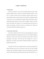 Integrated platinum carbon nanotube based electrocatalyst for high efficiency proton exchange membrane fuel cells 1 