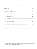 Báo cáo Tác tử  Công nghệ phần mềm dựa tác tử