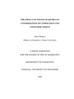 The impact of online searches on consideration set formation and consumer choice 