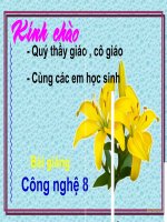 CN8  Moi ghep co dinh  Moi ghep khong thao duoc