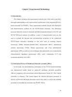Integrated platinum carbon nanotube based electrocatalyst for high efficiency proton exchange membrane fuel cells 2 