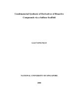 combinatorial synthesis of derivatives of bioactive compounds via a sulfone scaffold 