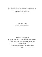 No reference quality assessment of digital images 