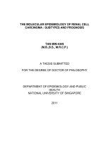 The molecular epidemiology of renal cell carcinoma subtypes and prognosis 