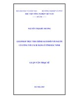 giải pháp thực thi chính sách đối với người có công với cách mạng ở tỉnh bắc ninh