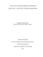 A bayesian system for modeling promoter structure  a case study of histone promoters